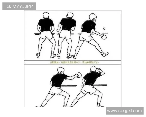 从零起步掌握乒乓球节奏技巧全解析助你快速提升球技