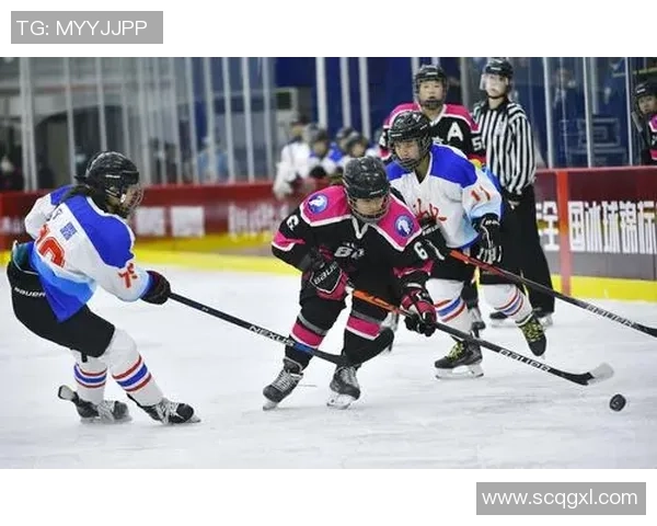 北京羽毛球队在锦标赛中的速度表现分析与点评