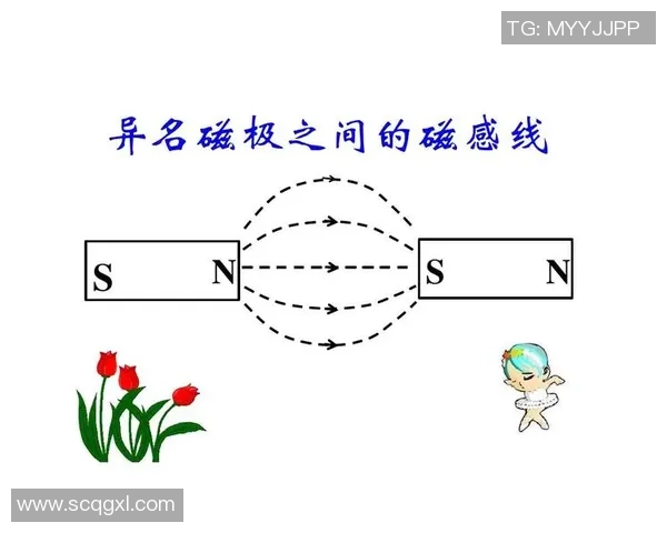 足球运动中的物理原理解析及其对比赛表现的影响探讨